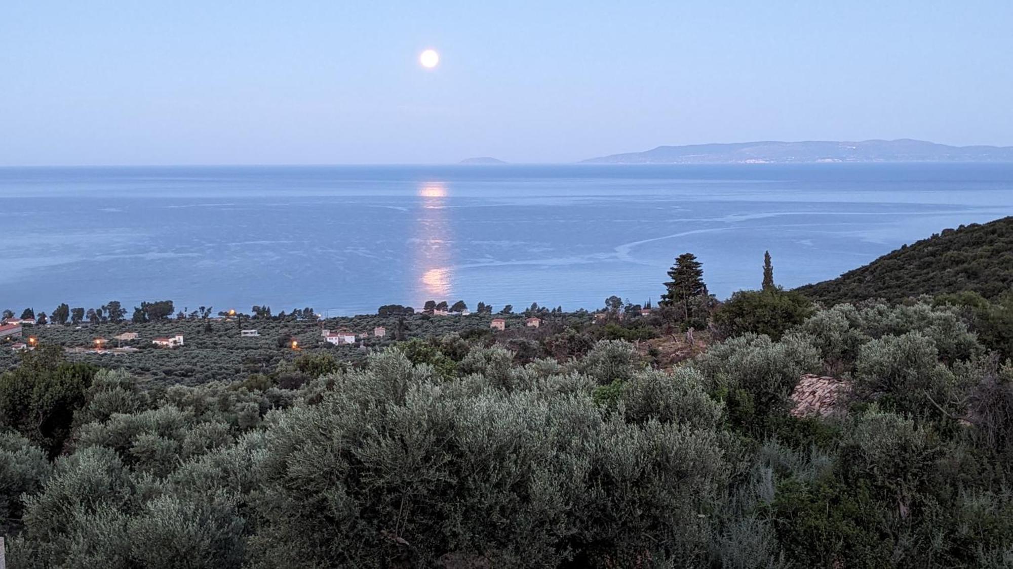 Magnificent, Authentic Private Villa And The Guest House Kardamyli Extérieur photo
